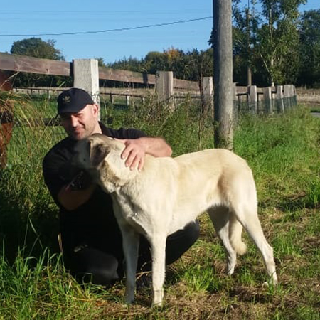 Mein Kangal und ich