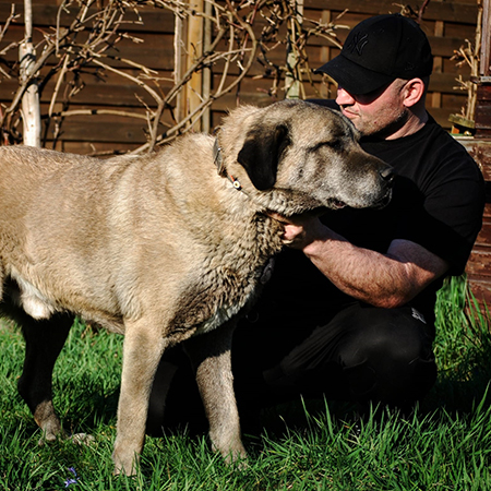 Mein Kangal und ich