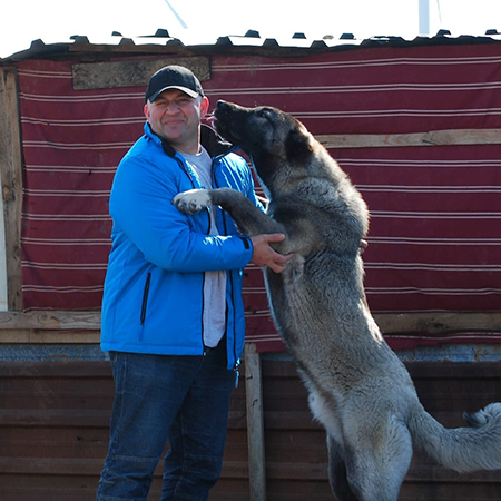 Mein Kangal und ich